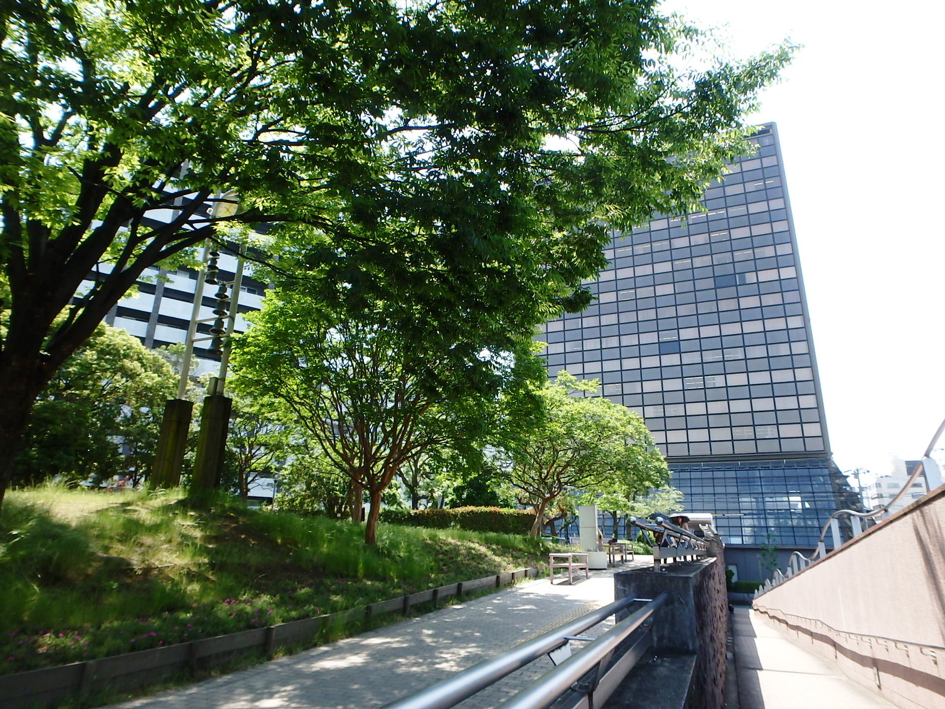 大同生命江坂ビルのアトリウム植栽がすごいと思う理由 観葉植物レンタルの大阪アルファ ウィン